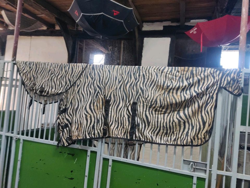 Fliegendecke Zebra mit Hals 155 in Rietberg