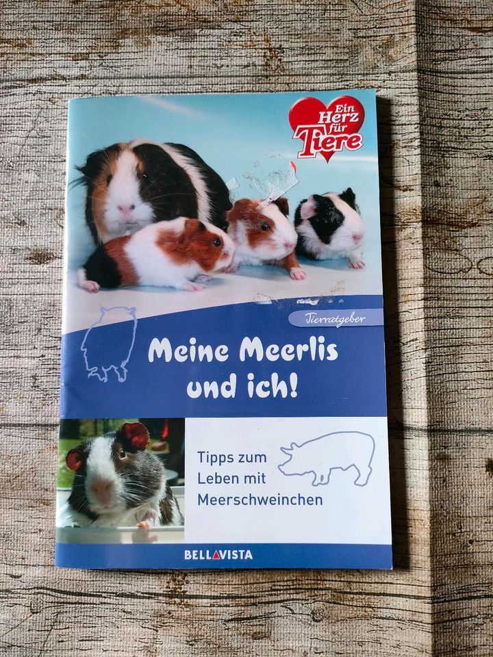 Meerschweinchen Bücher in Elsdorf