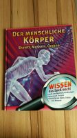 Der menschliche Körper Skelett Muskeln Organe Bayern - Rosenheim Vorschau