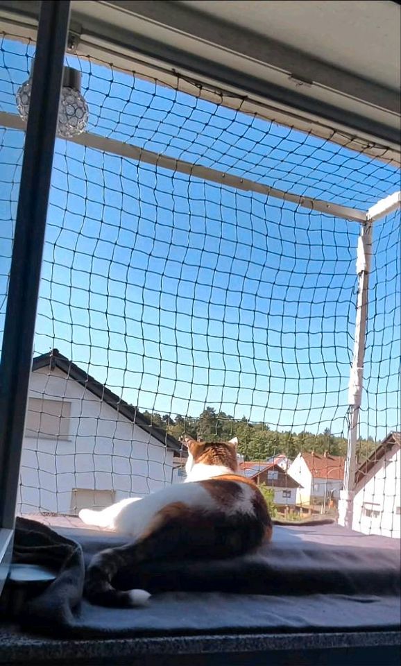 Verstellbarer Katzenbalkon für Fensteröffnungen in Hanau