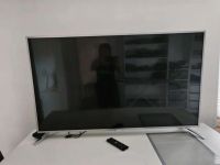 Philips 55zoll Ambilight TV Thüringen - Bad Liebenstein Vorschau