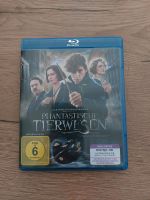 Phantastische Tierwesen Blu-ray Disc Hessen - Hadamar Vorschau