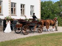 Pferdekutsche Viktoria Kutsche Schleswig-Holstein - Warnau b Nettelsee Vorschau