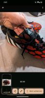 Adidas Fussball Schuhe Stollen Gr.42 West - Griesheim Vorschau