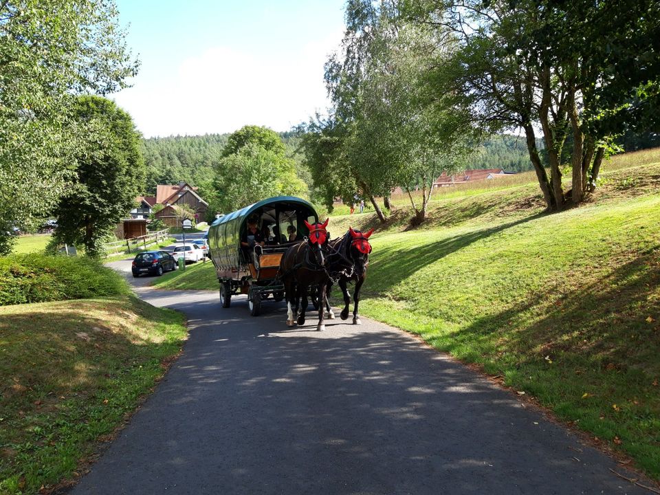 Hochzeitskutsche Kutschfahrt Planwagenfahrt in Großenlüder