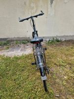 Verkaufe mein Damen Fahrrad Nürnberg (Mittelfr) - Aussenstadt-Sued Vorschau