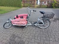 Gazelle Cabby Lastenrad, 7 Gänge (kein E-Bike!) Niedersachsen - Vechta Vorschau