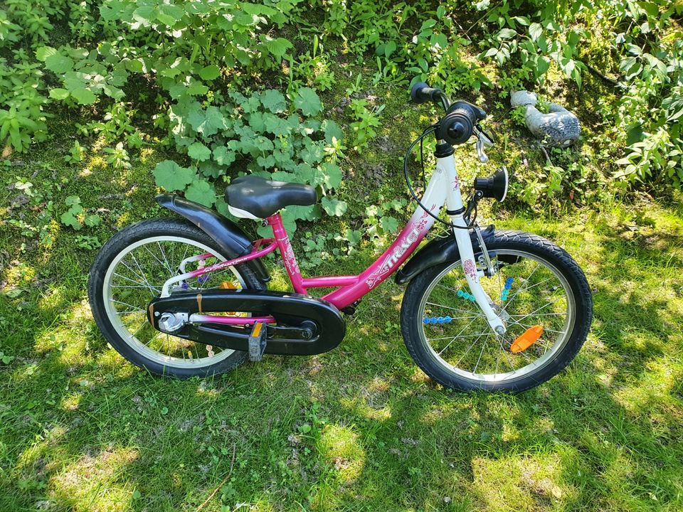 Kinder Fahrrad 18 Zoll 3 Gang in Salzweg