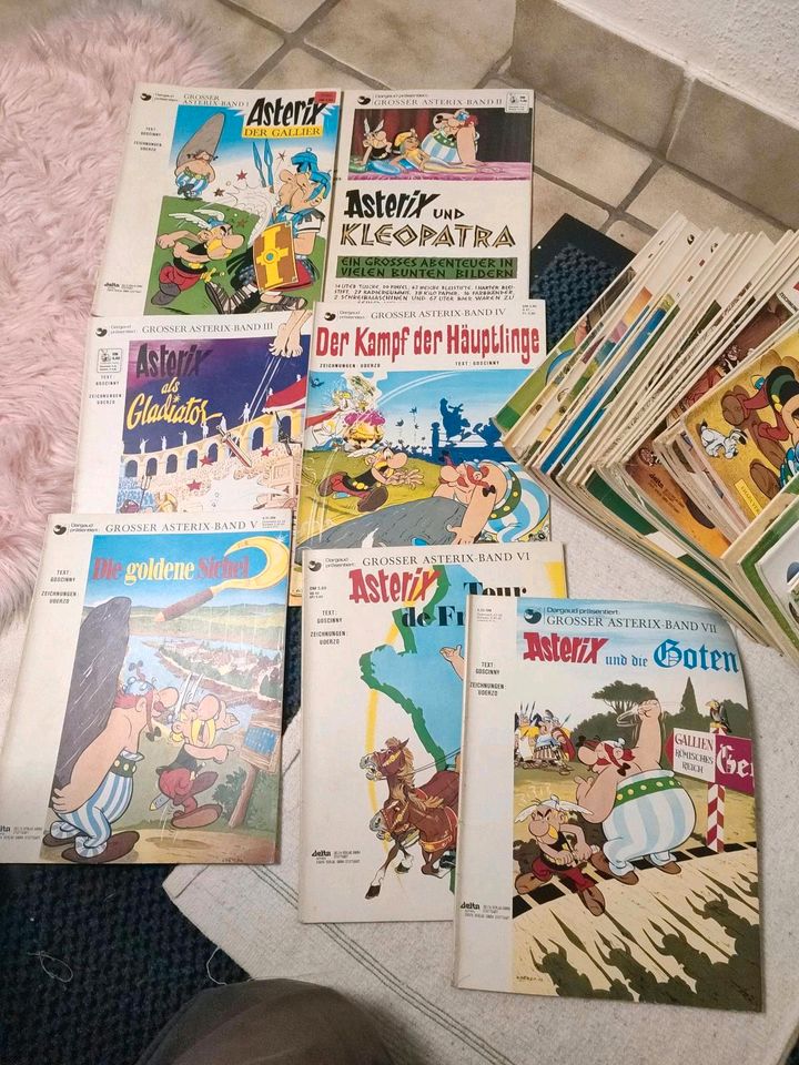 Asterix komplett 40, Bände , Extra Beilage Riesenposter in Schmelz