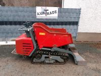 Kettendumper Dumper Messersi TCH-R16D Wacker Neuson DT10 2016 Thüringen - Bad Lobenstein Vorschau