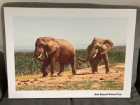 Leinwandbild Nordrhein-Westfalen - Balve Vorschau