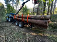 Holzrücken, Holztransport mit dem Rückewagen Bayern - Berching Vorschau