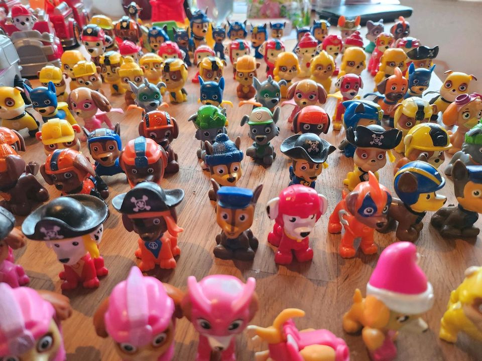 Paw Patrol Sammlung in Weingarten