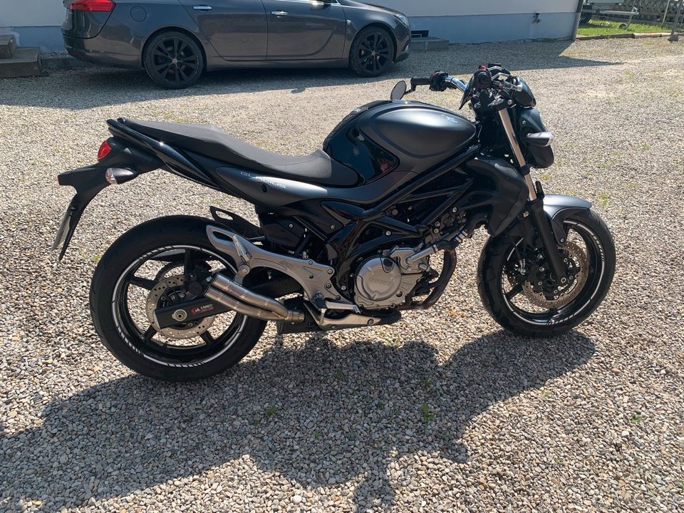 Suzuki Gladius 650 in Egenhofen