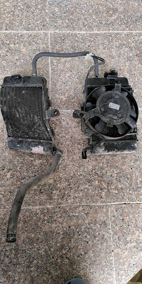 Honda XL600V Transalp PD06 87-93, Kühler mit Lüfter u Thermostat in Bonn