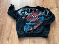 Spiderman Pullover Sachsen - Zwickau Vorschau