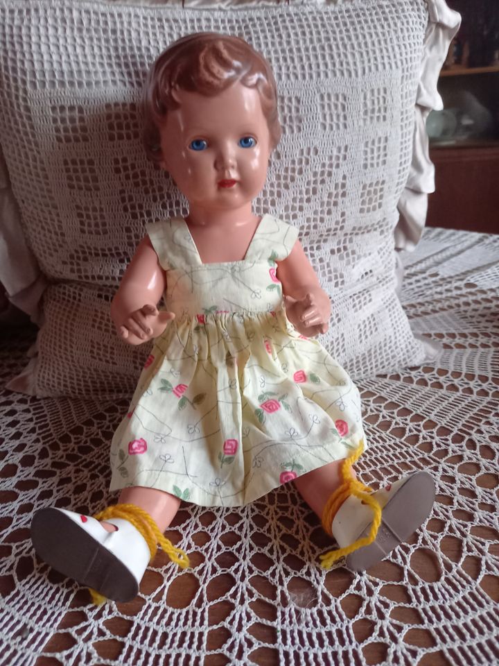 Puppe, Schildkröt in Dessau-Roßlau