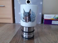 Dobermann Tasse Sachsen-Anhalt - Colbitz Vorschau