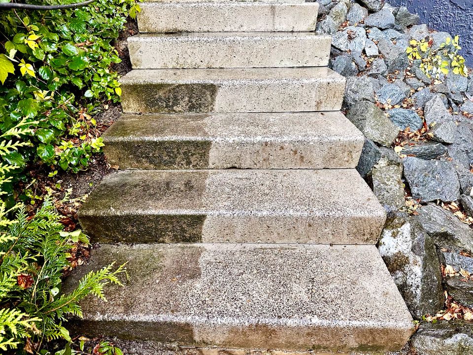 Steinreinigung✅Pflasterreinigung ✅Terrassenreinigung✅Fassaden✅ in Frankenberg (Eder)