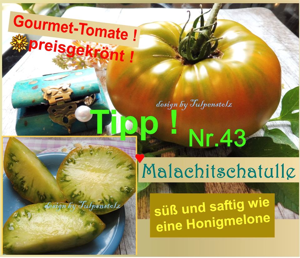 ♥ BIO Lieblings - Tomaten,Samen Alte Sorten,samenfest Tulpenstolz in Hamburg