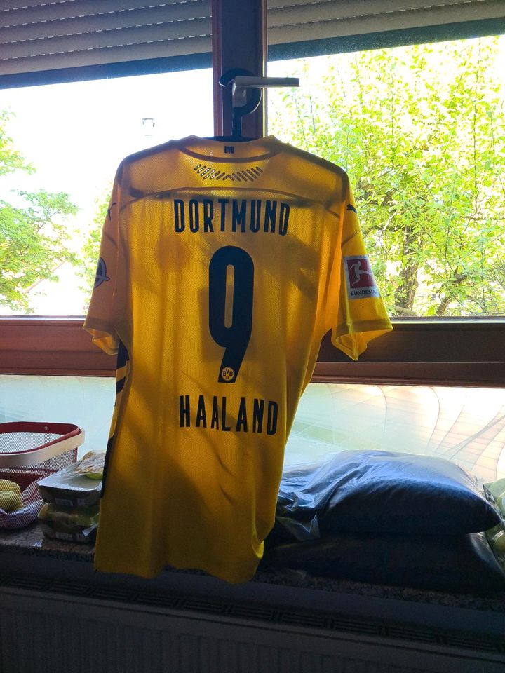 BVB Trikot in Sachsenheim