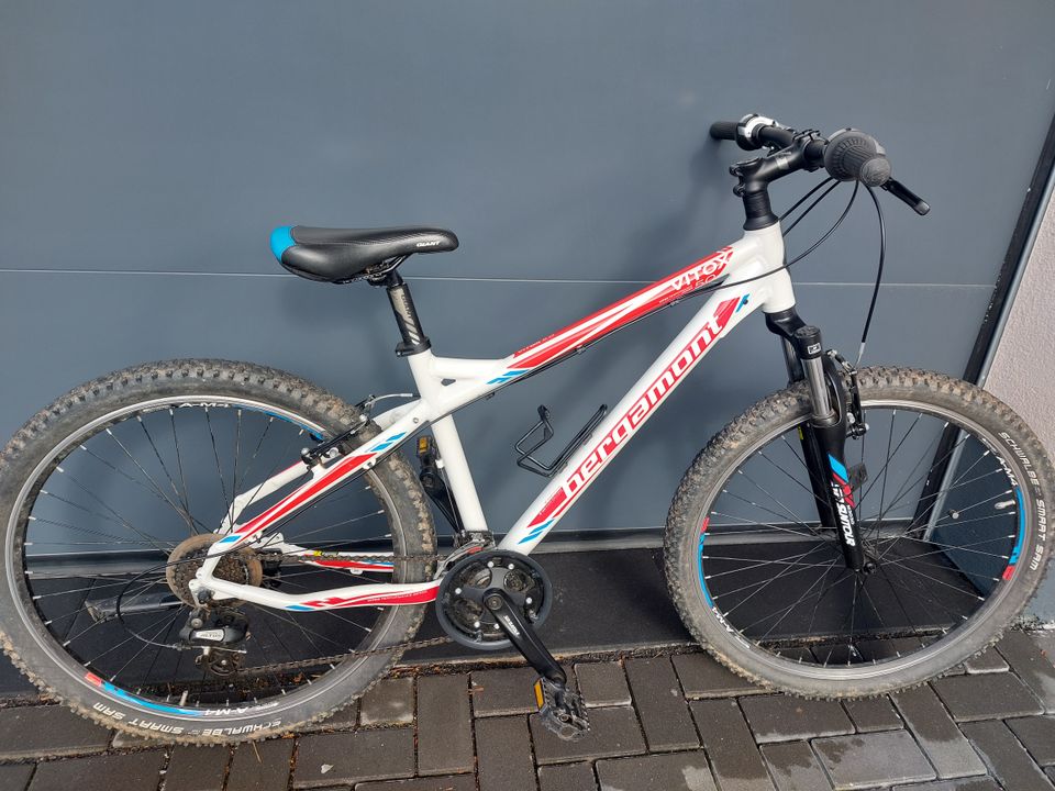 Fahrrad Bergamont Vitox 5.0 in Roes