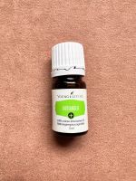 Koriander Öl Coriander Öl 5 ml Young Living Öl neu Bayern - Donauwörth Vorschau