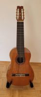 10-String Classical guitar / Klassischegitarre Kr. München - Feldkirchen Vorschau