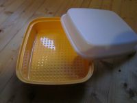 Tupperware Grillmeister, Box, Schüssel Sachsen - Priestewitz Vorschau