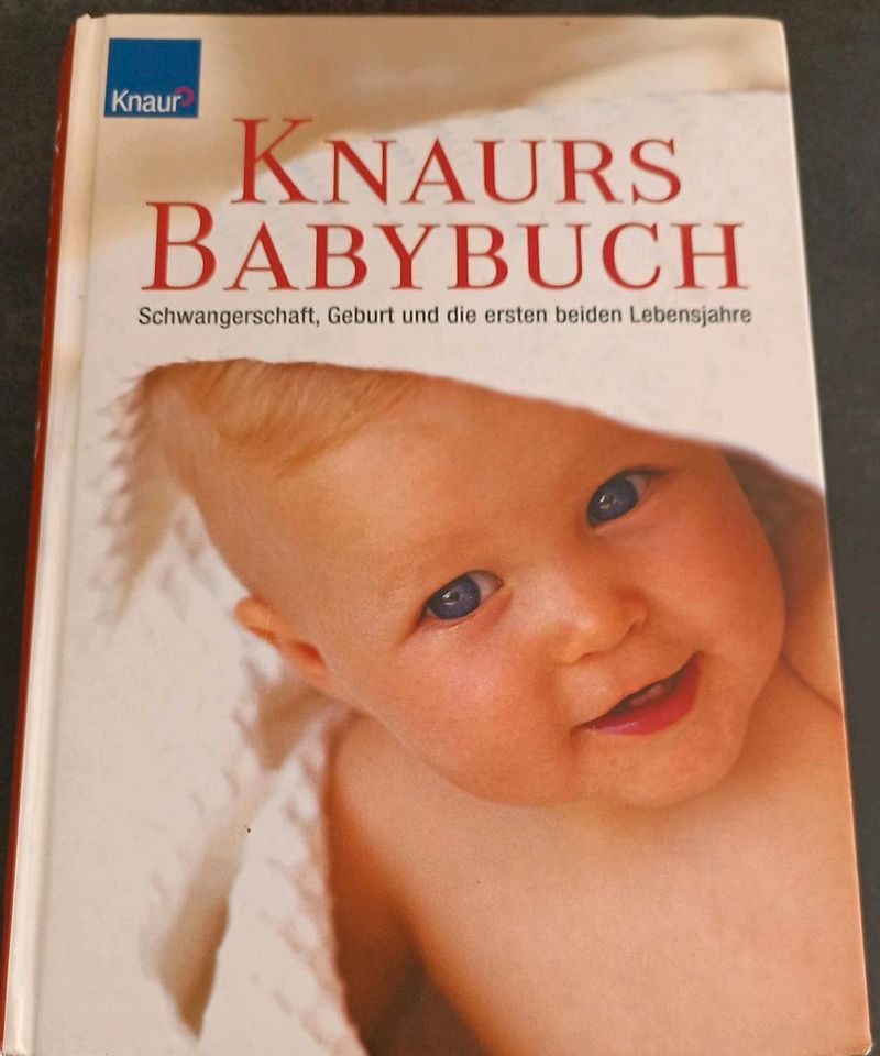 Bücher Baby , Schwangerschaft , Haushaltstipps zuverschenken in Rühen