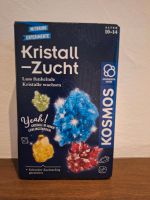 Kosmos Kristall Zucht Baden-Württemberg - Hausach Vorschau