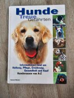 Buch über Hunde Niedersachsen - Vechta Vorschau