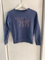 AO76 Sweatshirt blau Junge Gr. 152 sehr guter Zustand Bayern - Gauting Vorschau