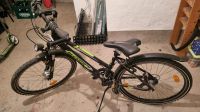 Fahrrad MTB Pegasus 26" Hessen - Darmstadt Vorschau