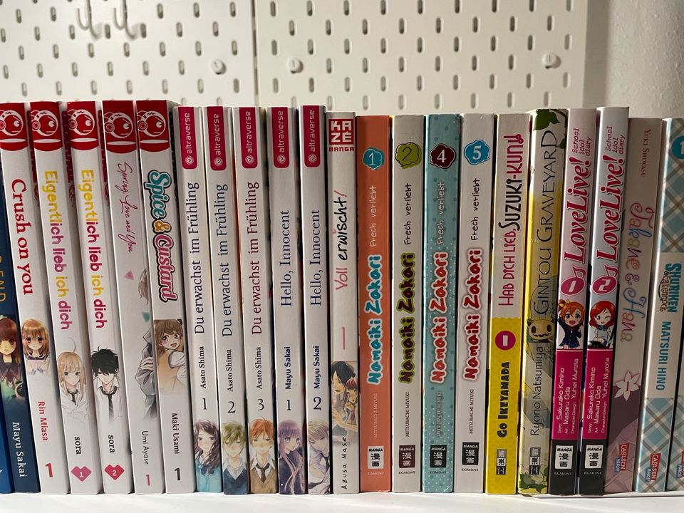 32 Mangas - Sammlung in Blunk