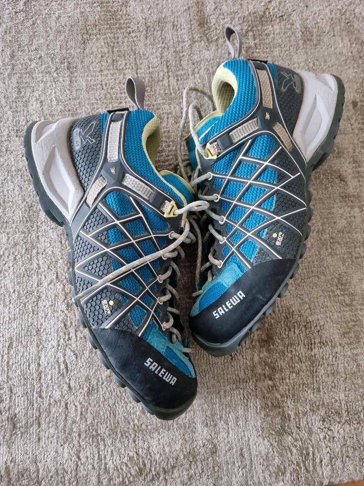 Salewa Waldfire Gtx in Rheinfelden (Baden)