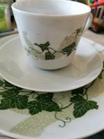 Kaffeeservice DDR kahla weinlaub Niedersachsen - Scheeßel Vorschau
