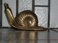 kleine Schnecke,  Skulptur aus Bronze oder Messing Berlin - Reinickendorf Vorschau