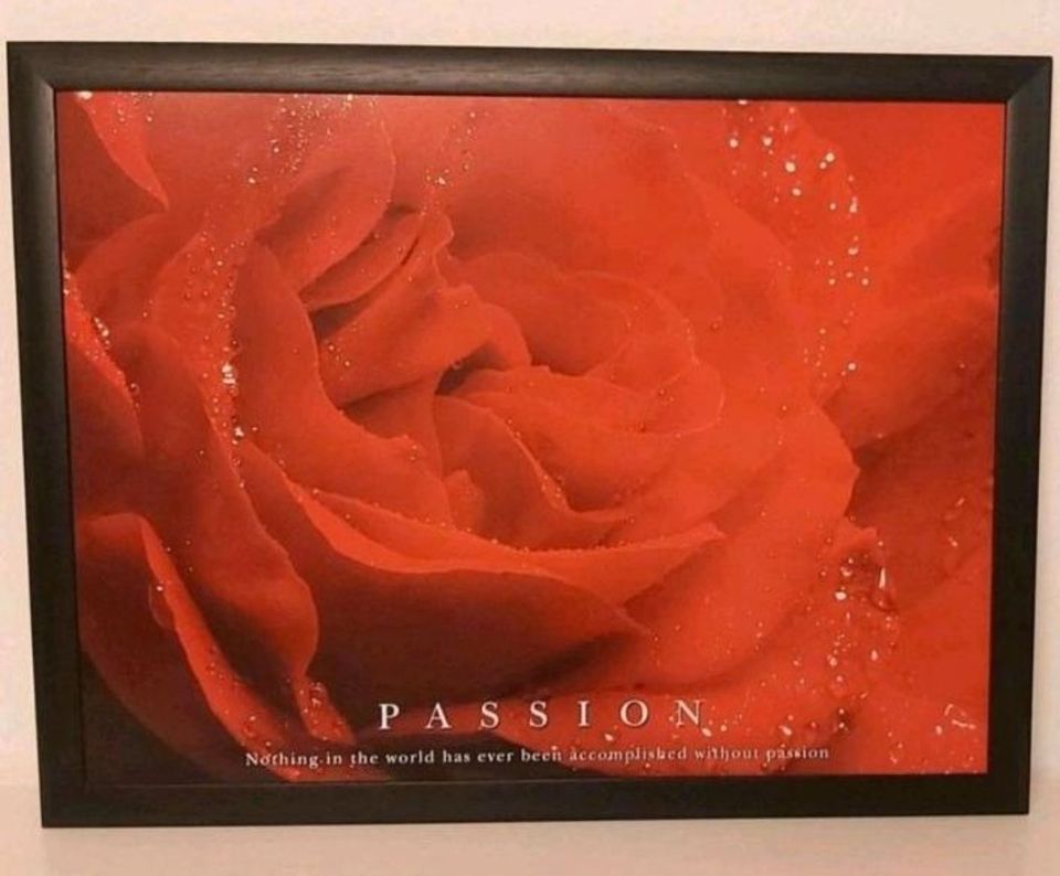Passion, Bild, Bild mit Rahmen, Rose, Wanddekoration in Coesfeld