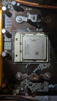 AMD Athlon 64 X2 von 2005 Niedersachsen - Hagen Vorschau