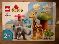 Duplo Wild Animals of Africa Hessen - Fritzlar Vorschau