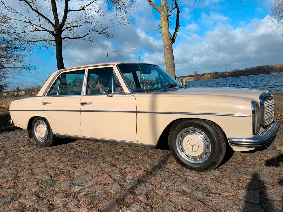 Mercedes Benz Strich 8 Oldtimer & Hochzeitsauto mieten in Berlin in Berlin