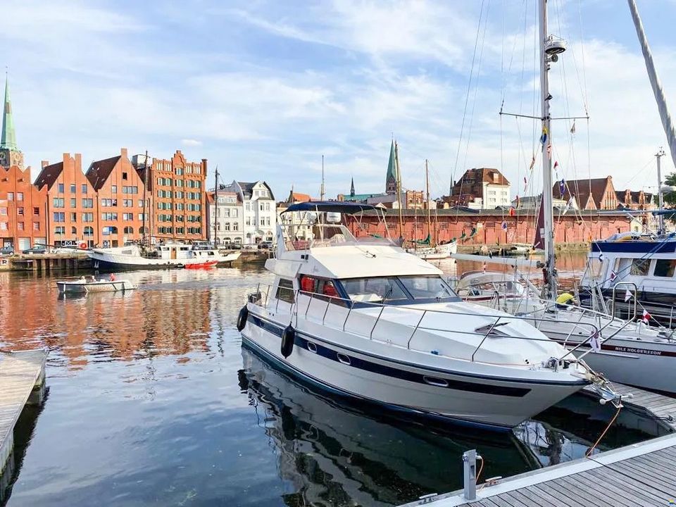 Motorboot  Motoryacht Neptunus Sedan 138 in Lübbecke 