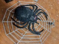 Pfui Spinne - Spinnennetz aus Metall plus große Spinne Baden-Württemberg - Herrenberg Vorschau