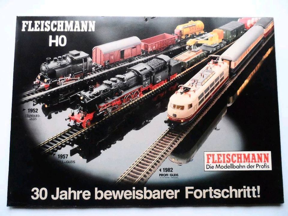 Fleischmann H0 N Eisenbahn Dampflok - Plakat Poster Aufsteller in Kirchheimbolanden