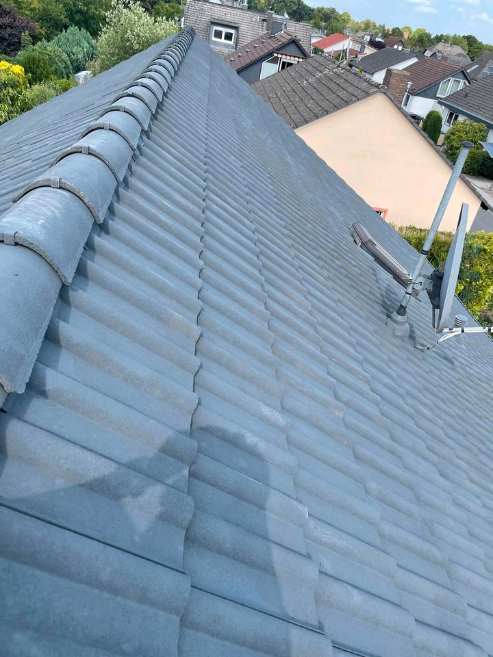 Dachreinigung und Steinpflege 30% Rabattierung auf dachreinigung in Dieburg