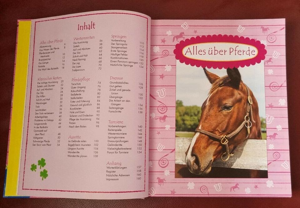Mein Erlebnisbuch Pferde & Reiten in Braunschweig