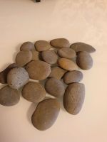 Beach Pebbles Philippines Zierkies Splitt Naturstein Edel Malawi Hamburg-Mitte - Hamburg Wilhelmsburg Vorschau