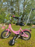 PUCKY Fahrrad (Prinzessin Lillifee) 12“ Hessen - Bad Soden-Salmünster Vorschau