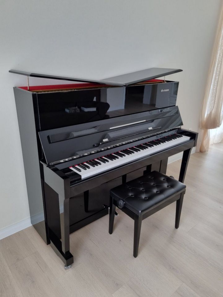 Thomann Piano Arte 122 E/P - akustisches Klavier (Design-Klavier) in Gochsheim